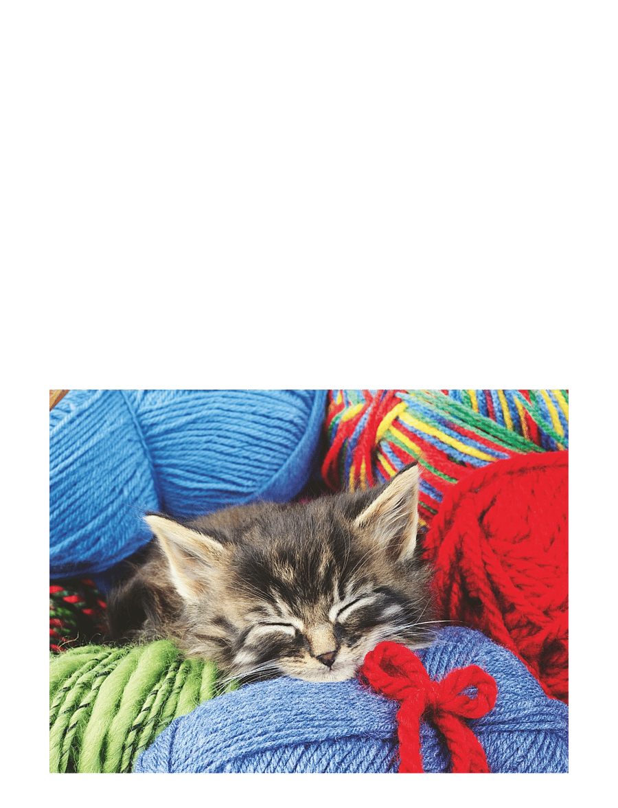 Ravensburger - Wool Cat 100p Ad - klassiset palapelit - multi coloured - 2