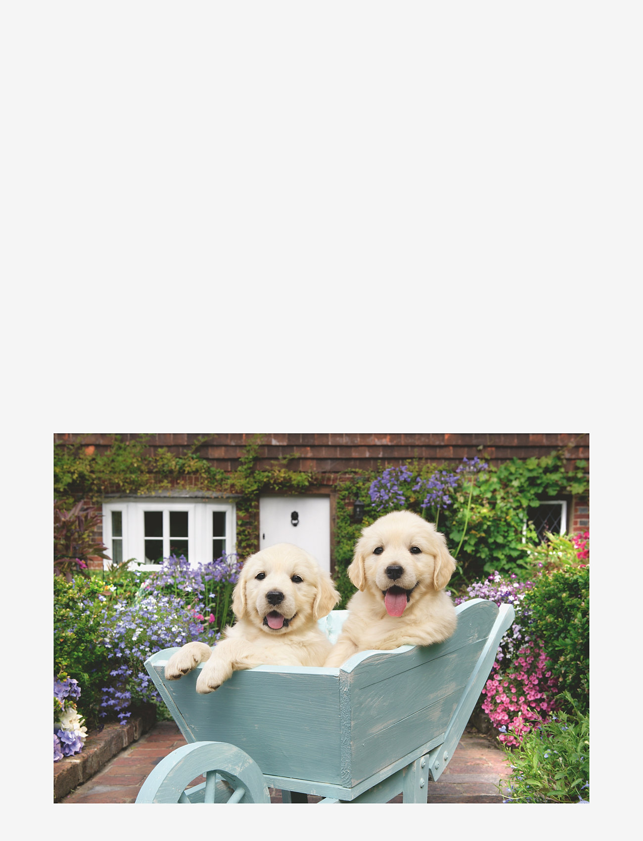 Ravensburger - Golden Retriever 200p Ad - klassiske puslespil - multi coloured - 2