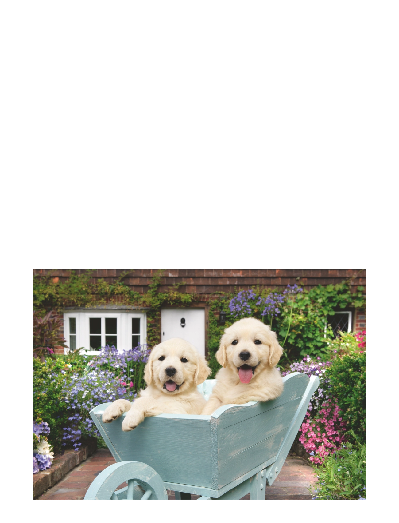 Ravensburger - Golden Retriever 200p Ad - klassiset palapelit - multi coloured - 2