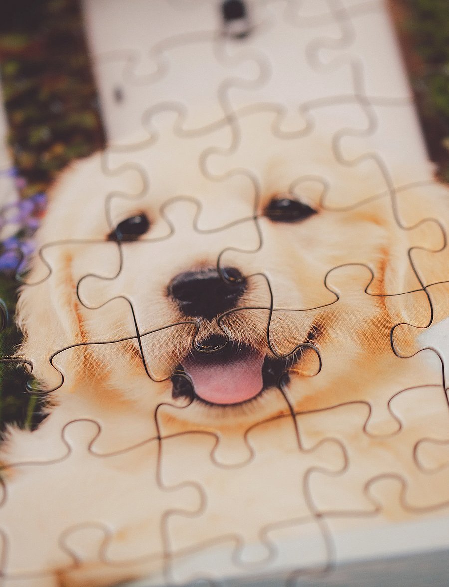 Ravensburger - Golden Retriever 200p Ad - klassísk púsl - multi coloured - 4