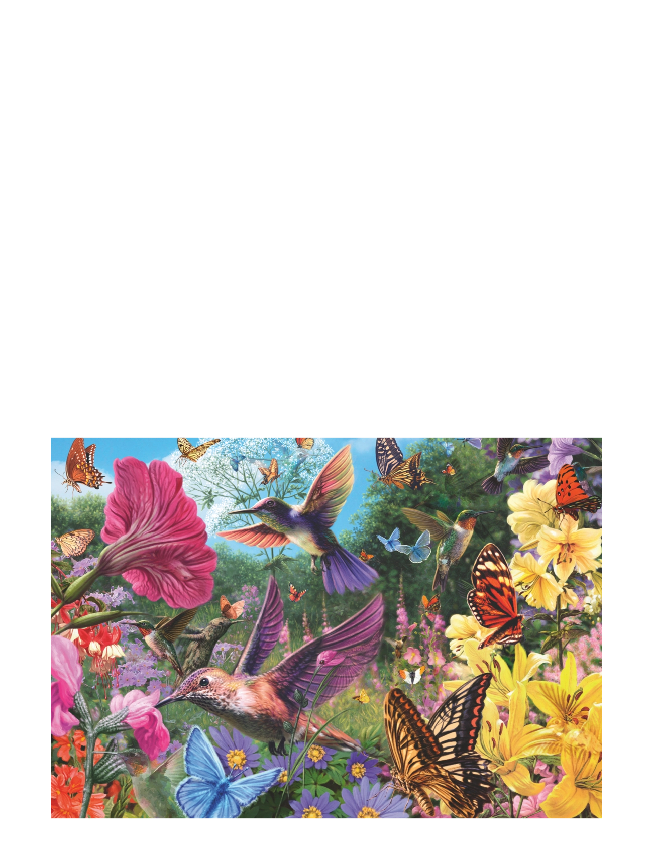 Ravensburger - Hummingbirds & Butterflies 200p Ad - klassiset palapelit - multi coloured - 2
