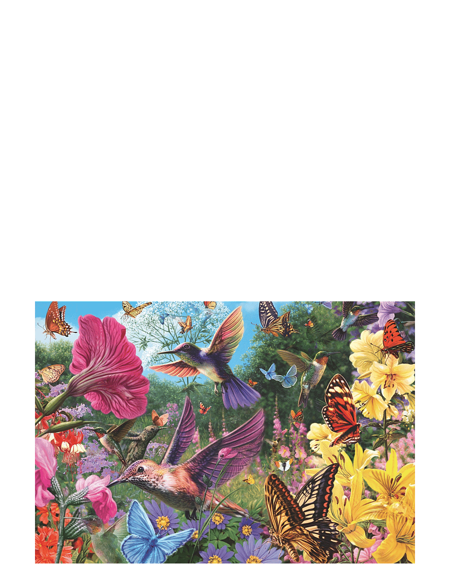 Ravensburger - Hummingbirds & Butterflies 200p Ad - klassiska pussel - multi coloured - 2