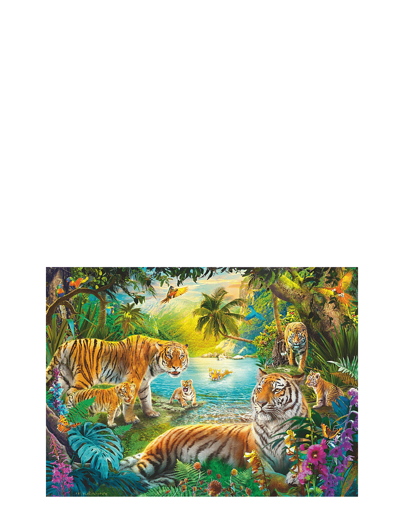 Ravensburger - Tiger Family In The Oasis 500p - klassísk púsl - multi coloured - 2