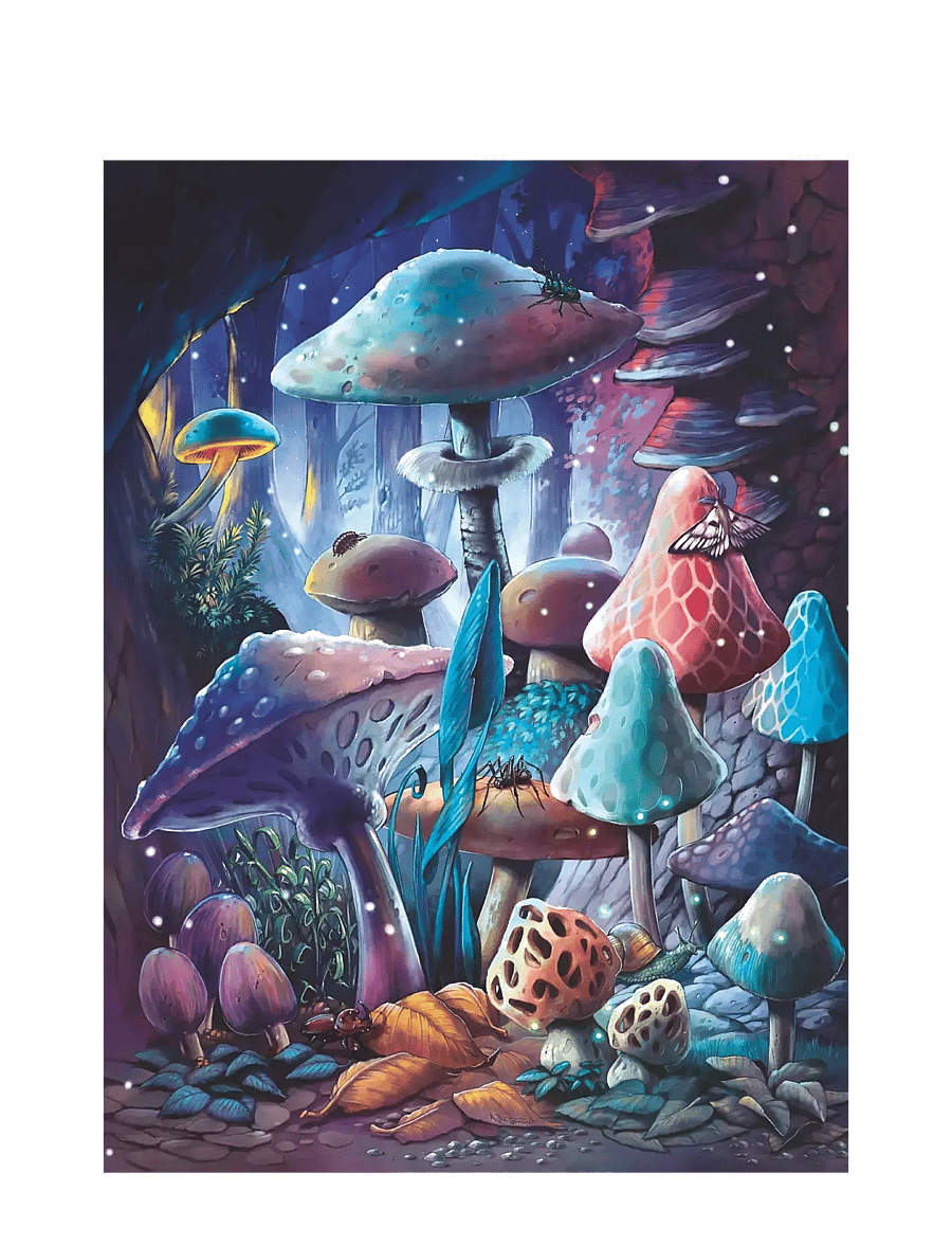 Ravensburger - Moonlight Mushrooms 500p glow - trépúsl - multi coloured - 2