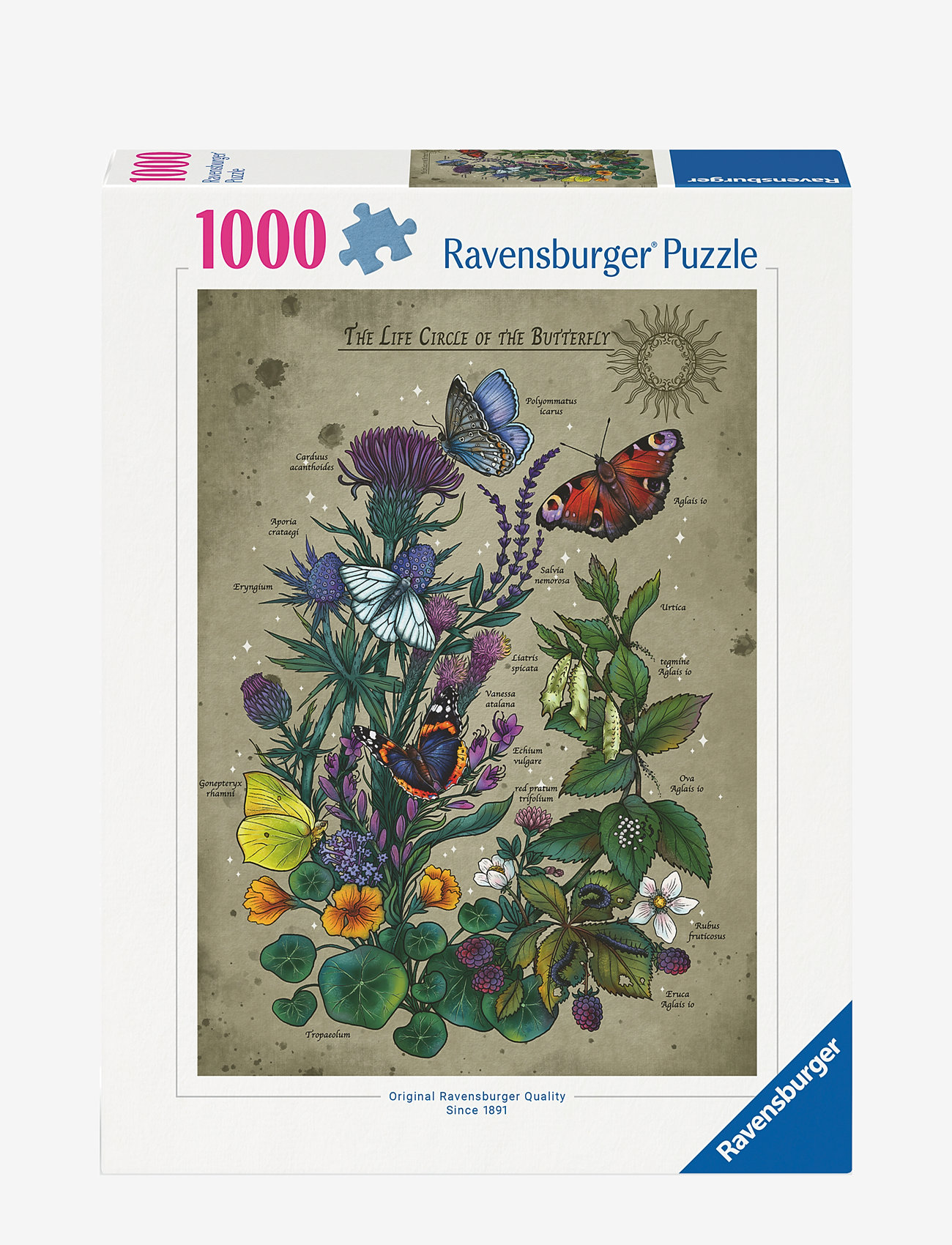 Ravensburger - Livssirkel sommerfugl 1000p - klassiske puslespill - multi coloured - 1