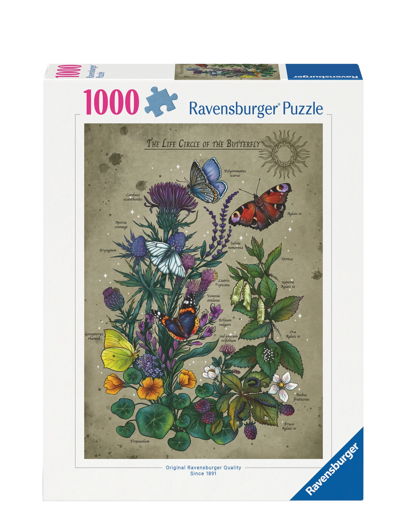 Ravensburger Lifecircle Butterfly 1000p - Legetøj - MULTI COLOURED / multi