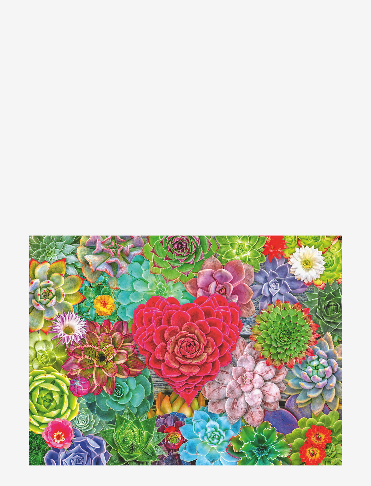 Ravensburger - Succulent Love 500p - klassiske puslespil - multi coloured - 1