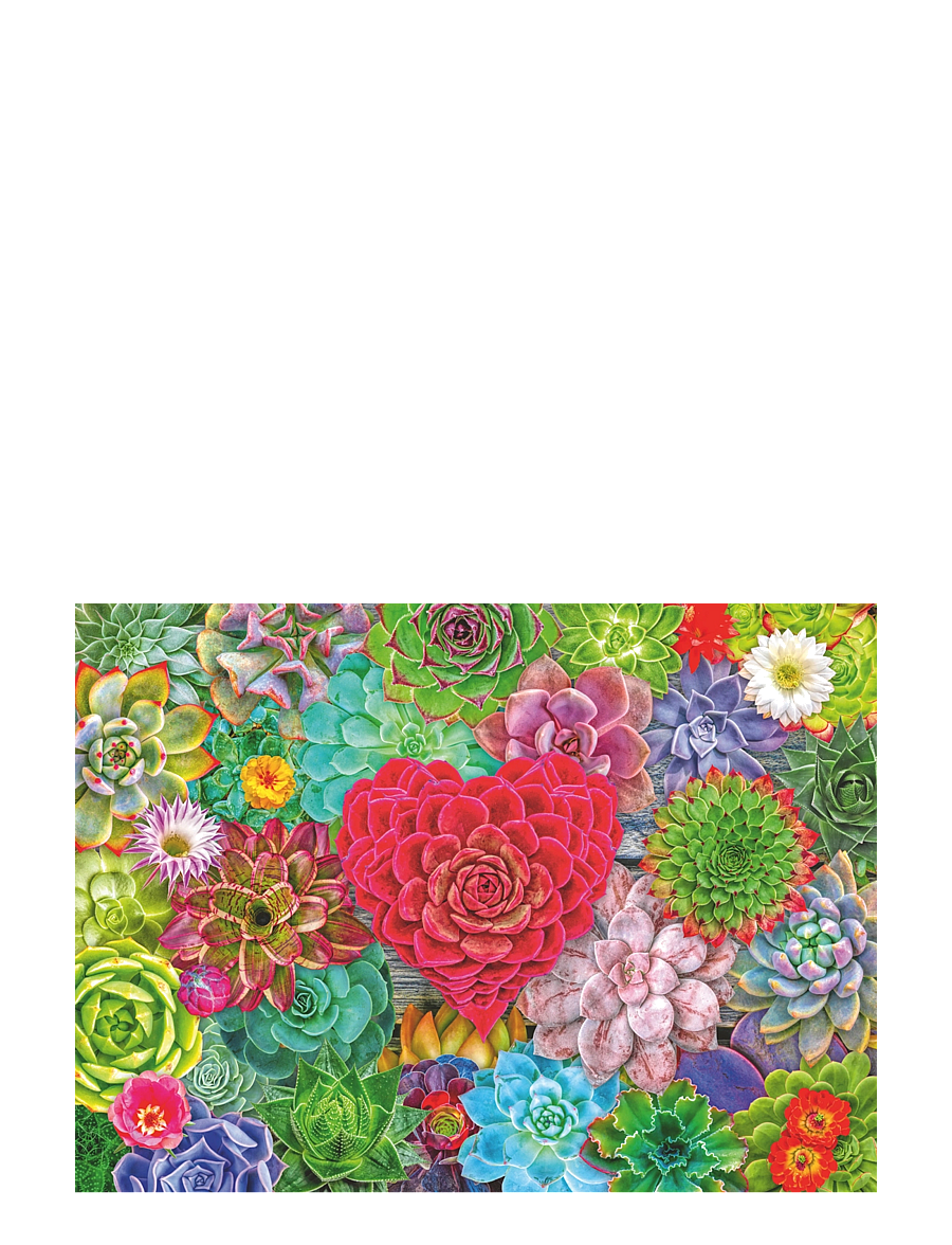 Ravensburger - Succulent Love 500p - klassísk púsl - multi coloured - 1