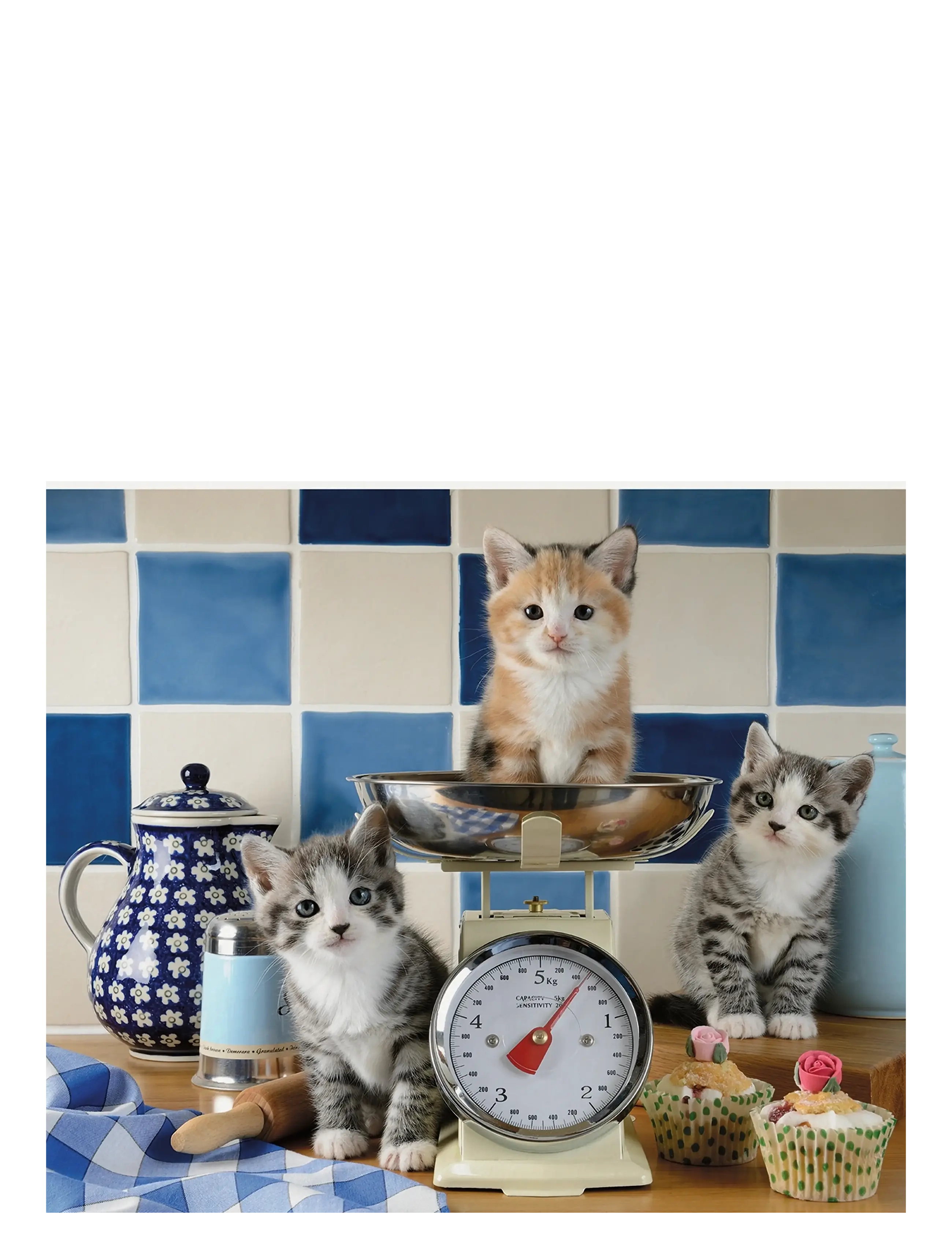Ravensburger Cute cats 1500p - 4 for 3 - MULTI COLOURED / blue