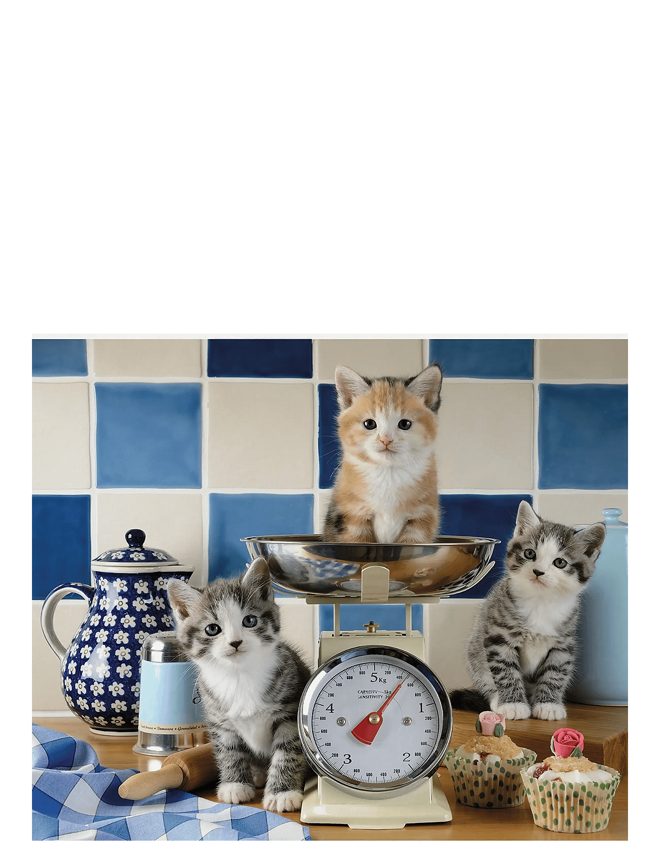 Cute cats 1500p - MULTI COLOURED