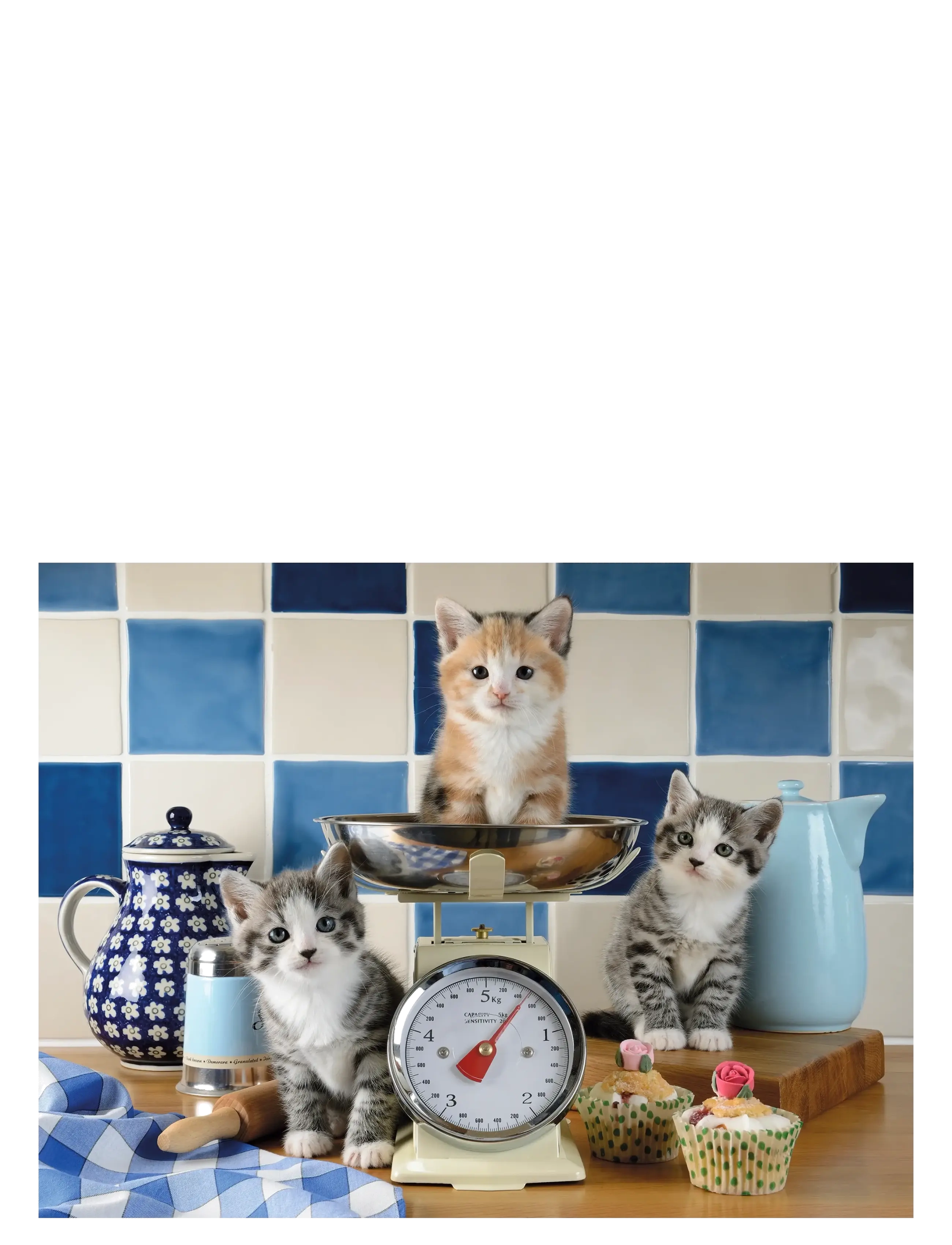 Ravensburger - Cute cats 1500p - klassiska pussel - multi coloured - 1