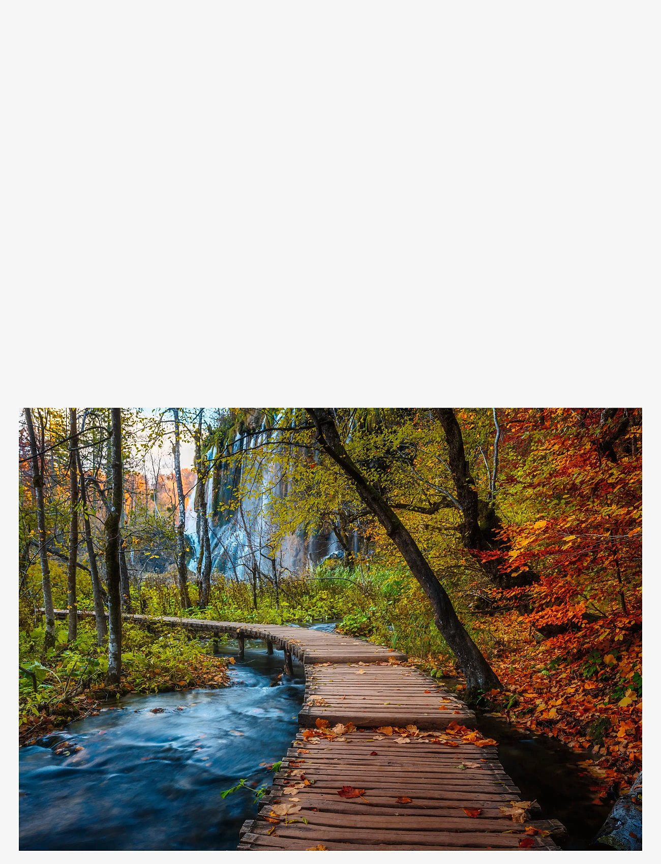 Ravensburger - Autumnal wood trail 1000p - klassiske puslespil - multi coloured - 1