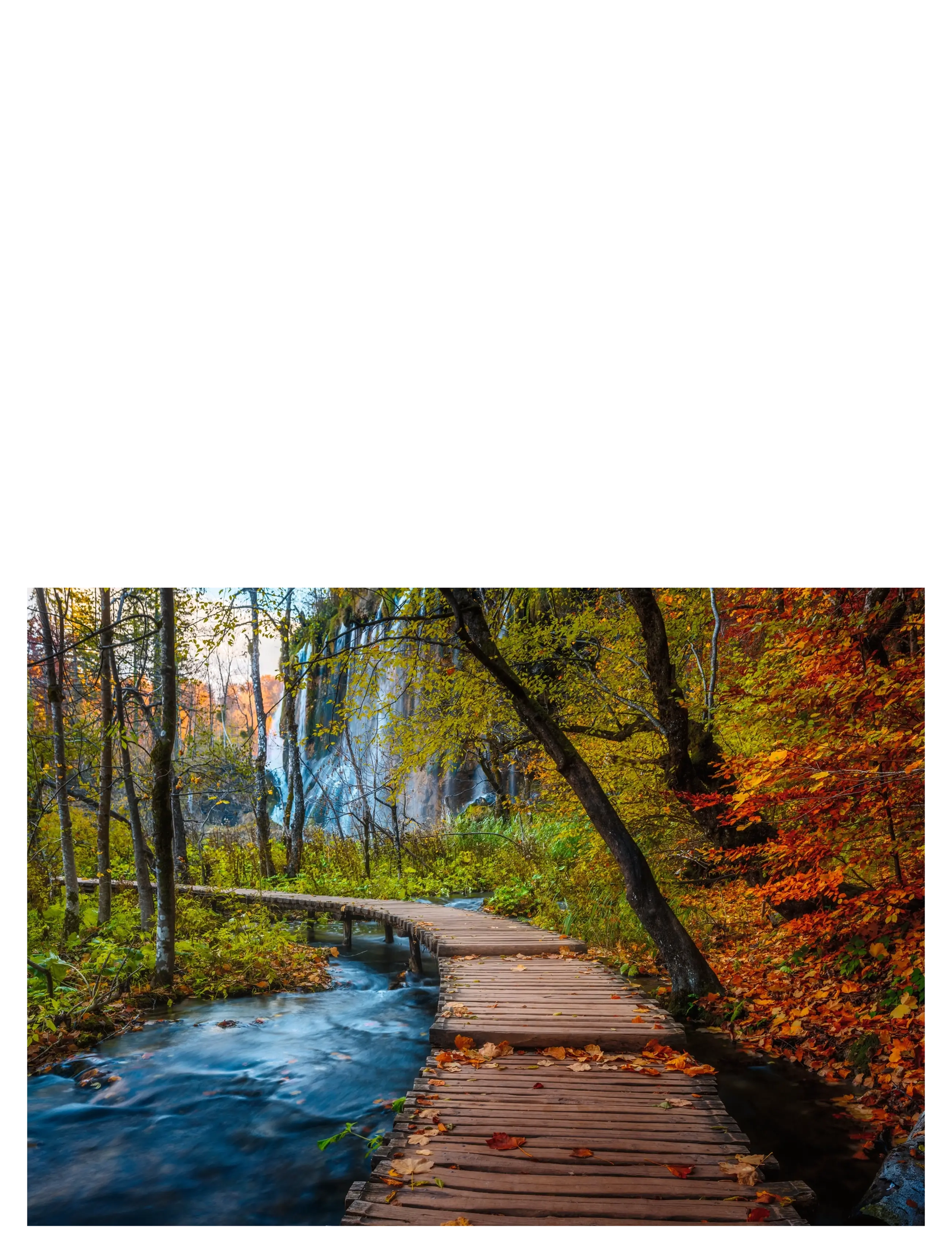 Ravensburger - Autumnal wood trail 1000p - klassiska pussel - multi coloured - 1