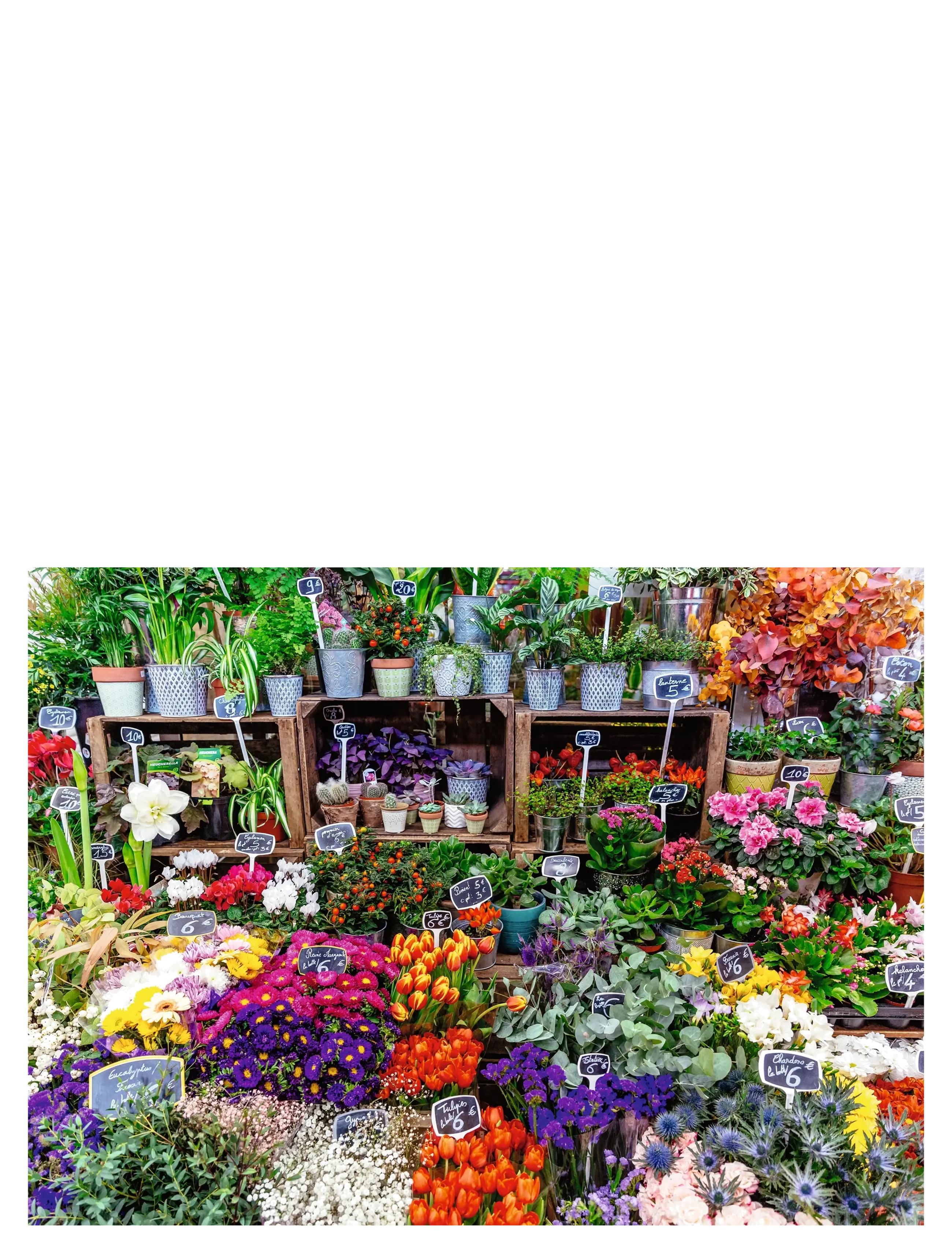 Ravensburger - Flower Market, France 500p - klassiske puslespil - multi coloured - 1