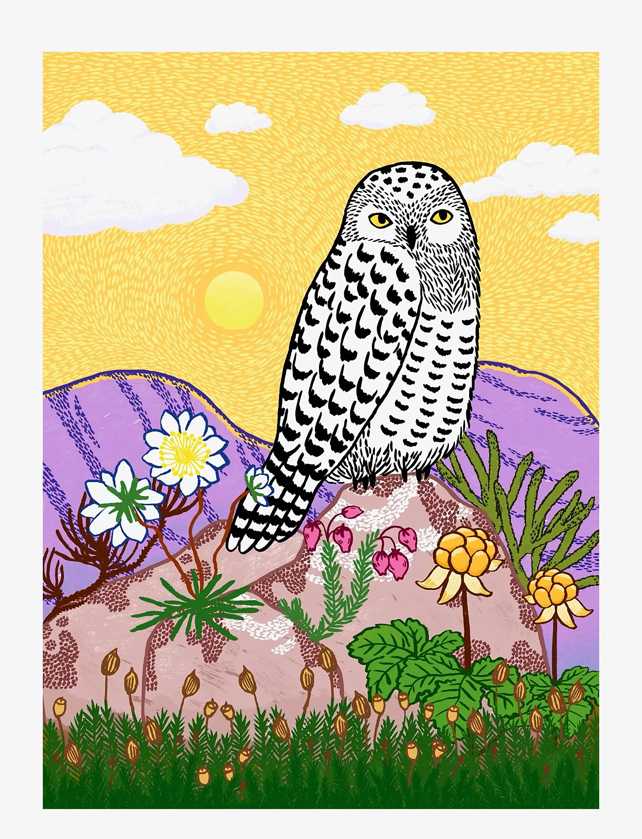 Ravensburger - Snowy Owl, 500p - klassiska pussel - multi coloured - 1