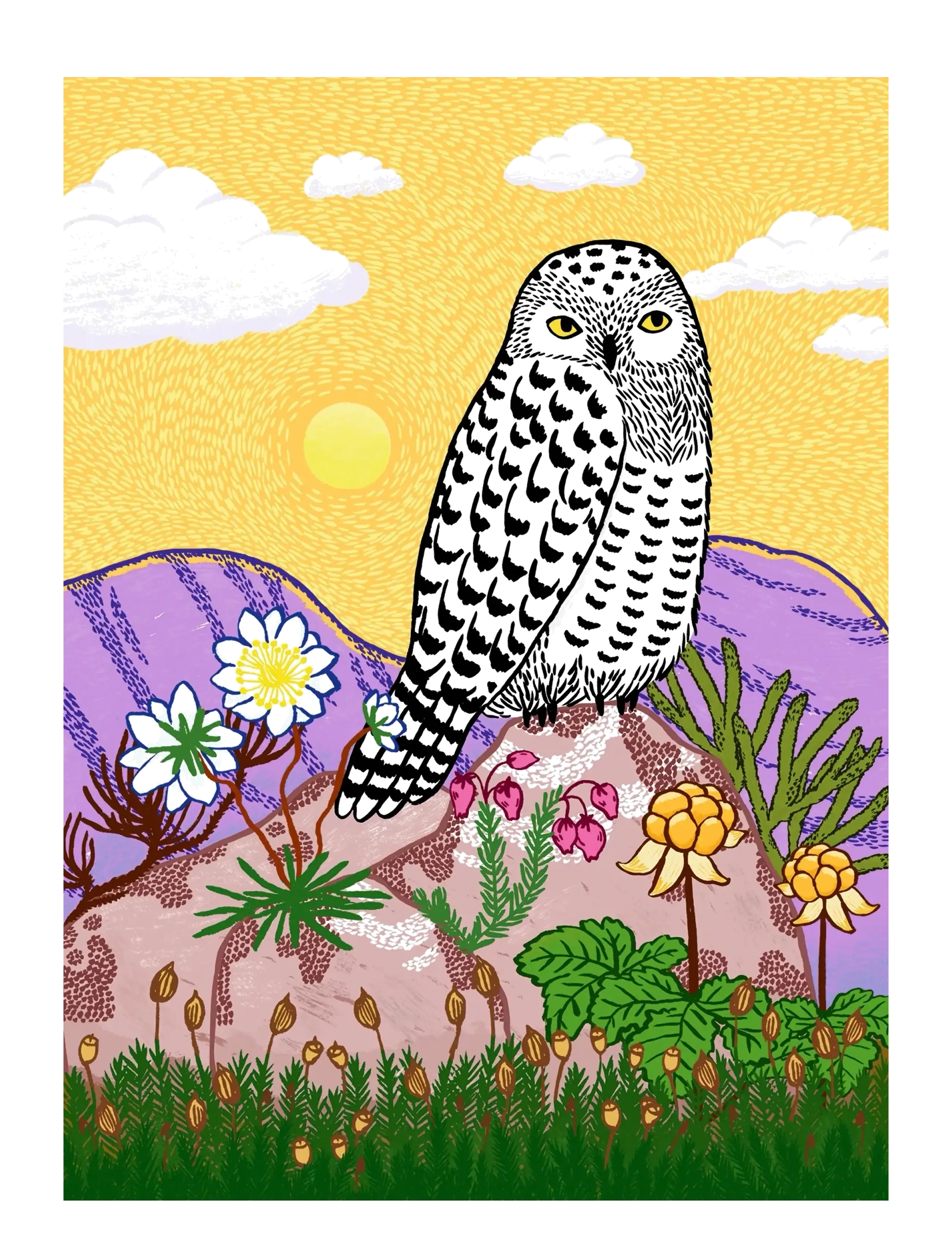 Ravensburger - Snowy Owl, 500p - klassiset palapelit - multi coloured - 1