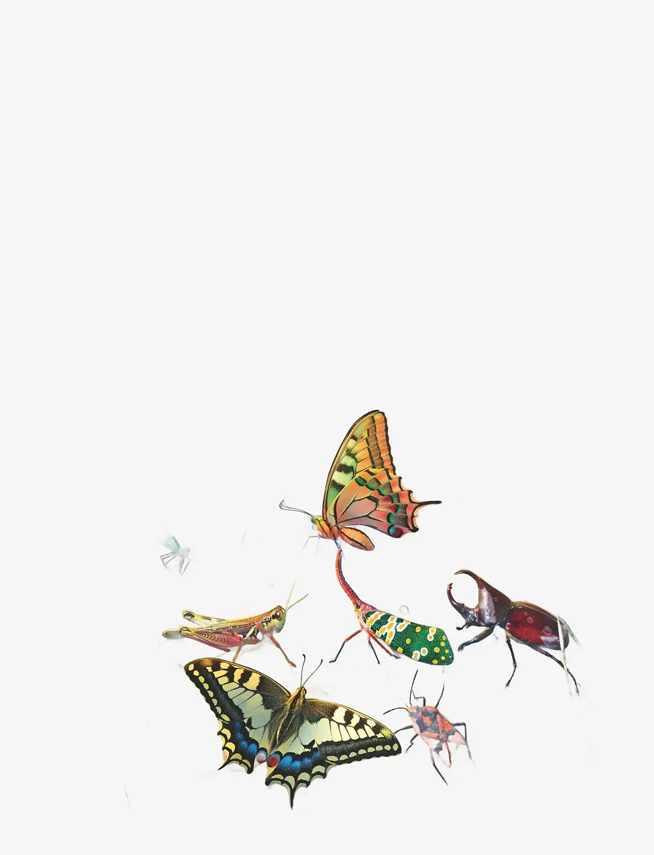 Ravensburger - Wonderful World Of ?Insects 100p XXL - klassiske puslespil - multi coloured - 1