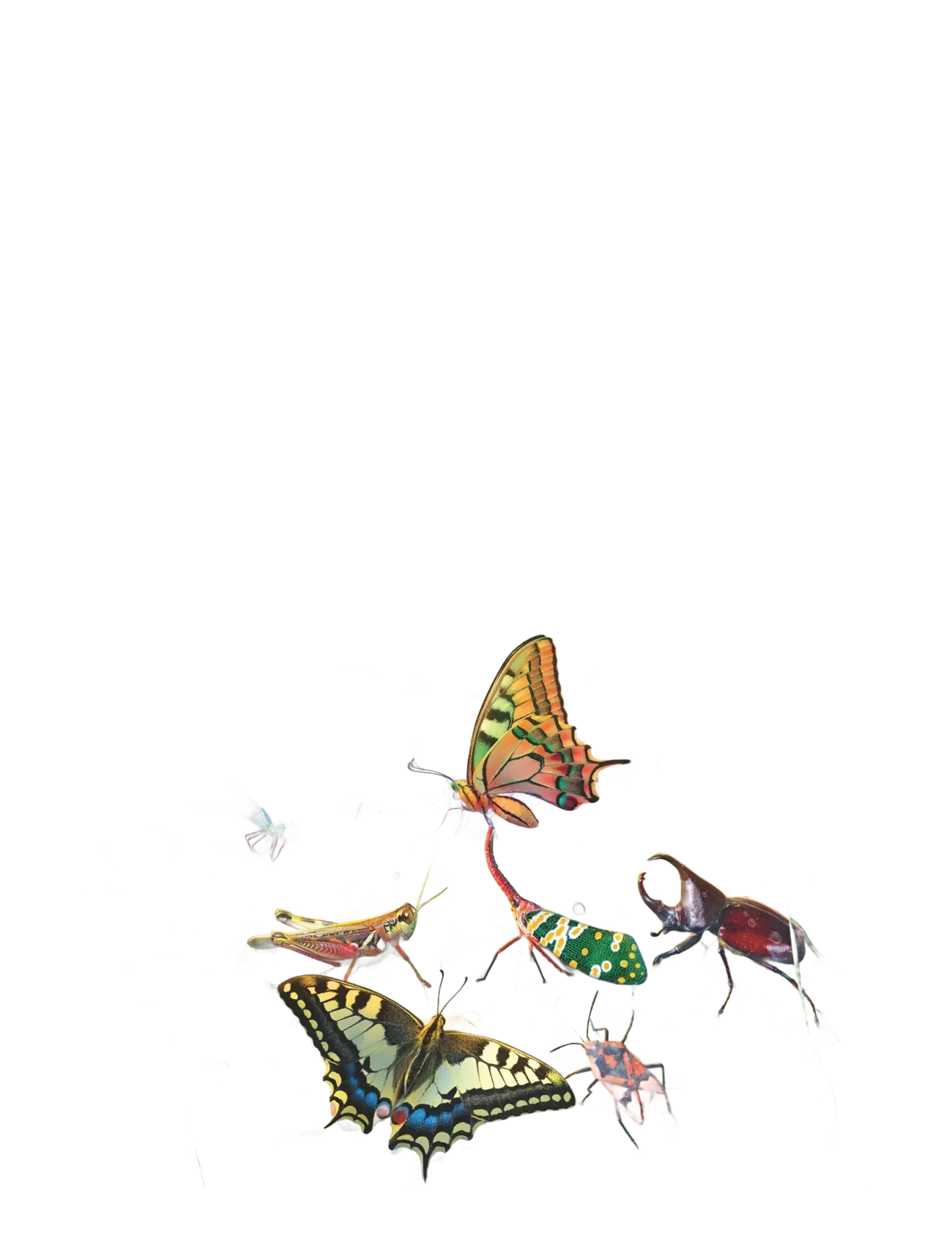 Ravensburger - Wonderful World Of ?Insects 100p XXL - klassiske puslespil - multi coloured - 1