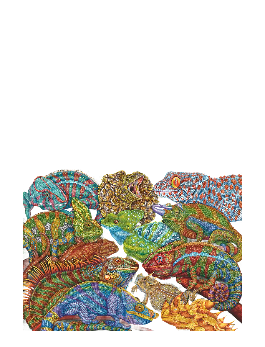 Ravensburger - Riveting Reptiles 300p - klassísk púsl - multi coloured - 1