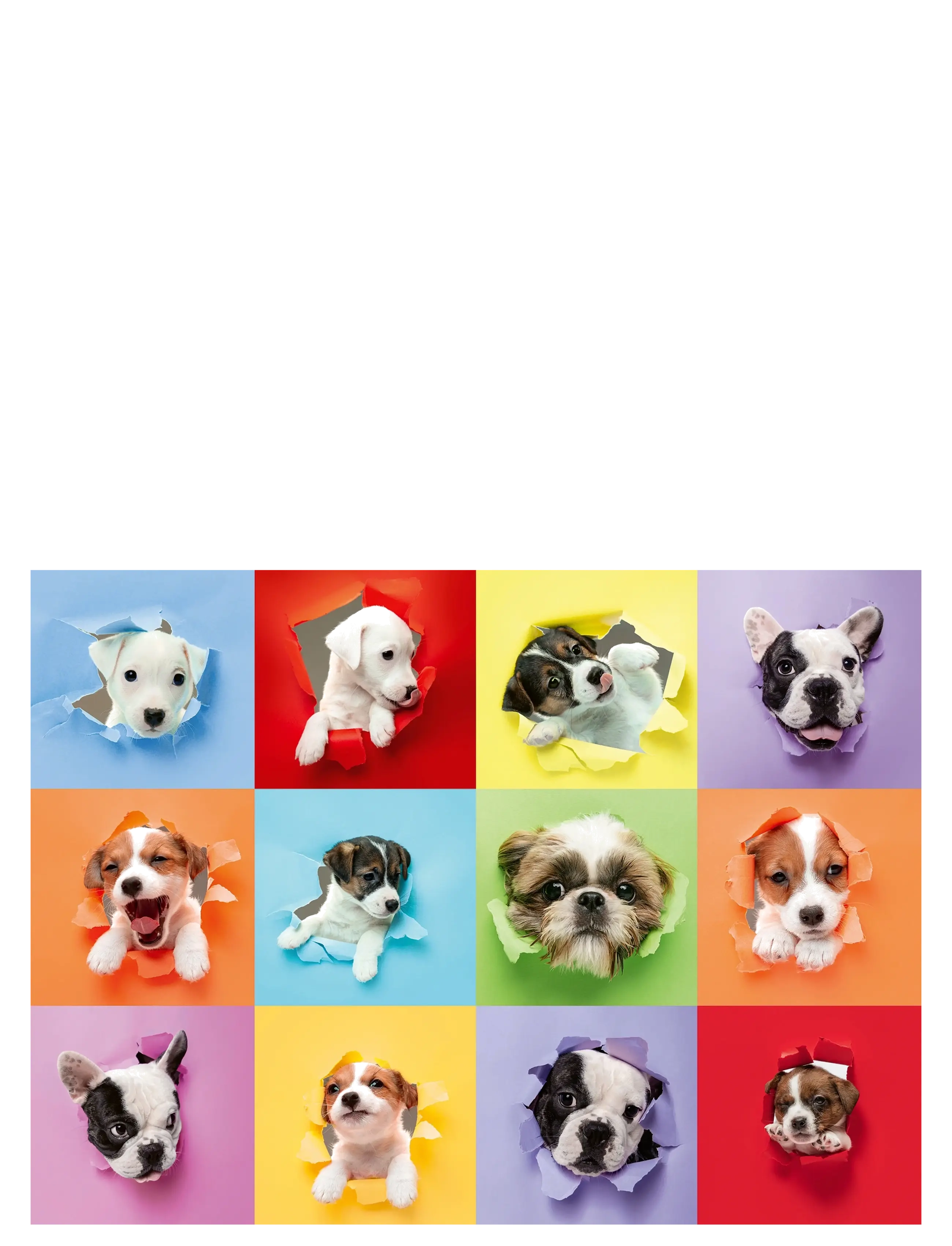 Ravensburger - Animal Selfie 300p - multi coloured - 1
