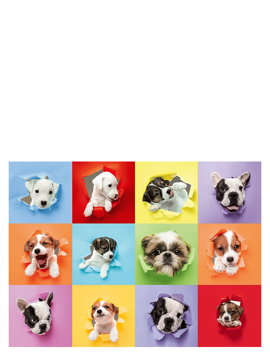 Ravensburger - Animal Selfie 300p - oppimispalapelit - multi coloured - 1