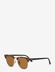 Ray-Ban - CLUBMASTER - spotted brown havana-brown - 1