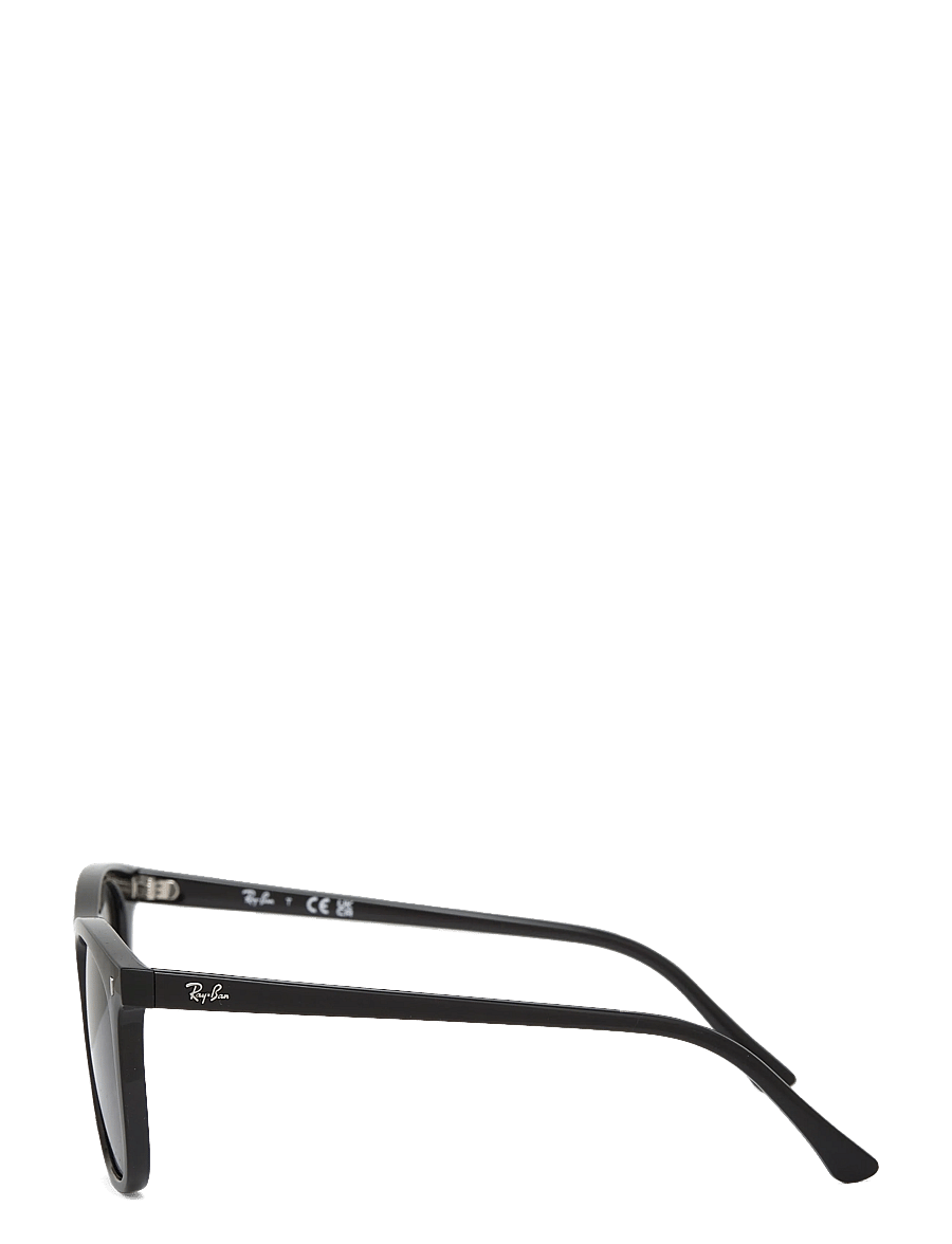Ray-Ban - RB2210 - d-formade - black / green - 2