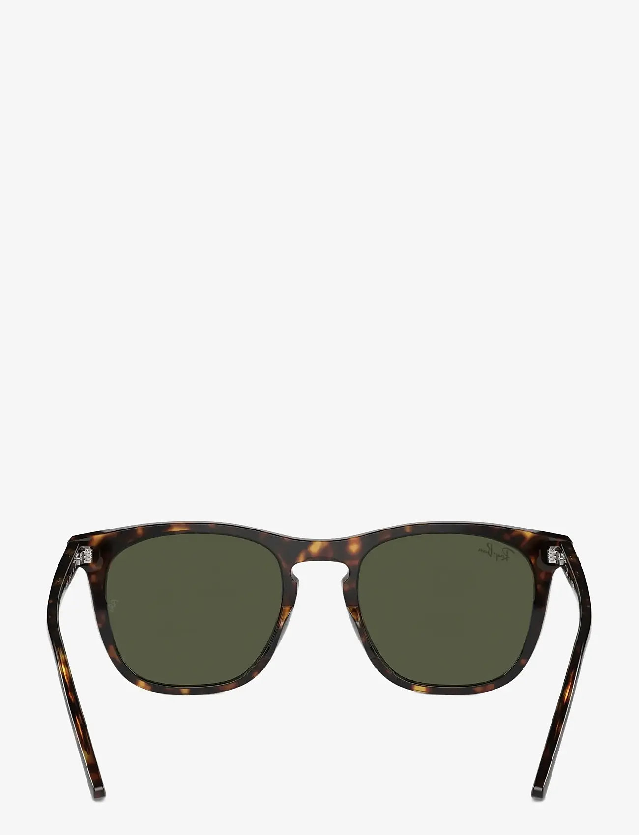Ray-Ban - RB2210 - d-shaped - havana / green - 3