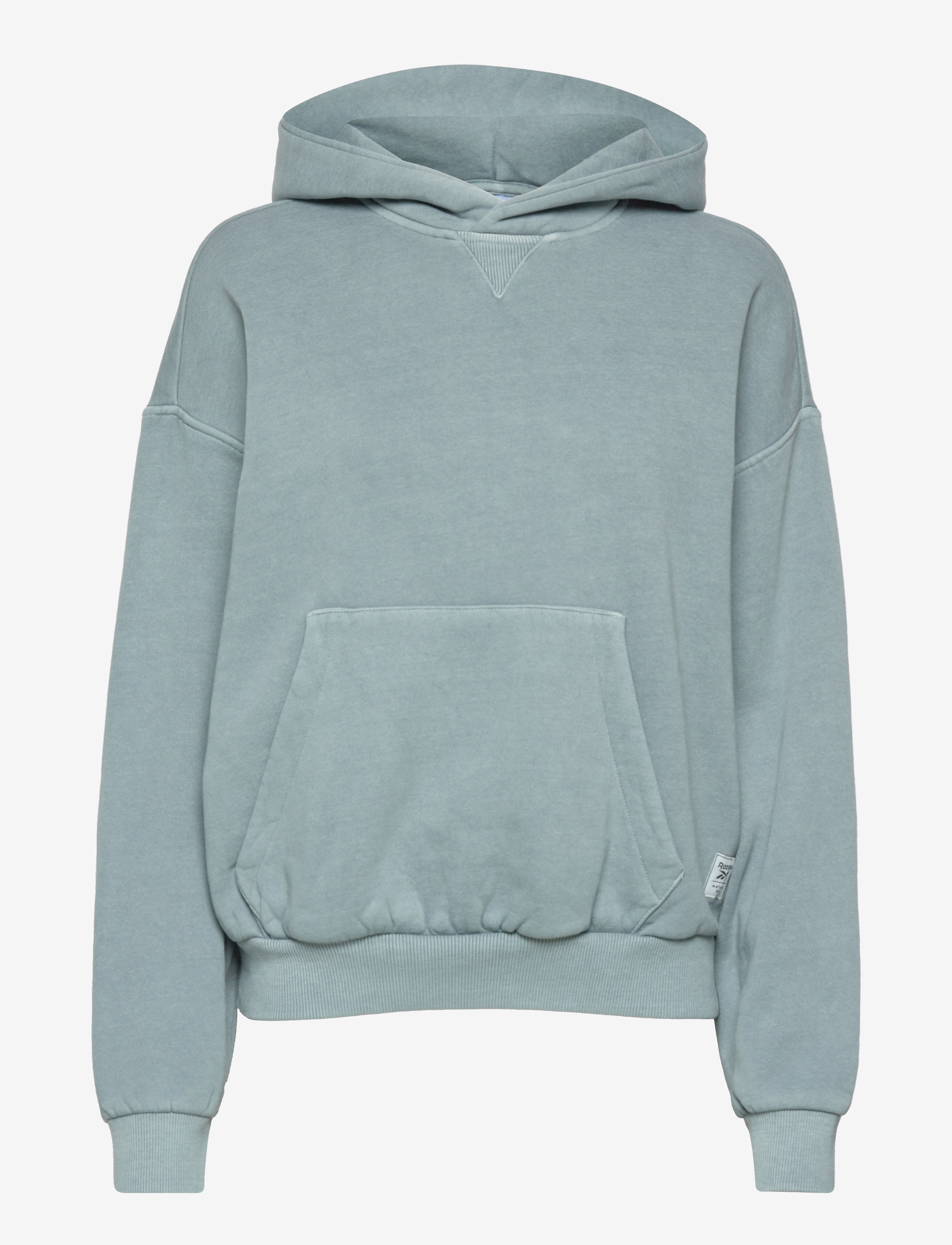 Reebok Classics - CL RBK ND FLEECE HOODIE - midpin - 1