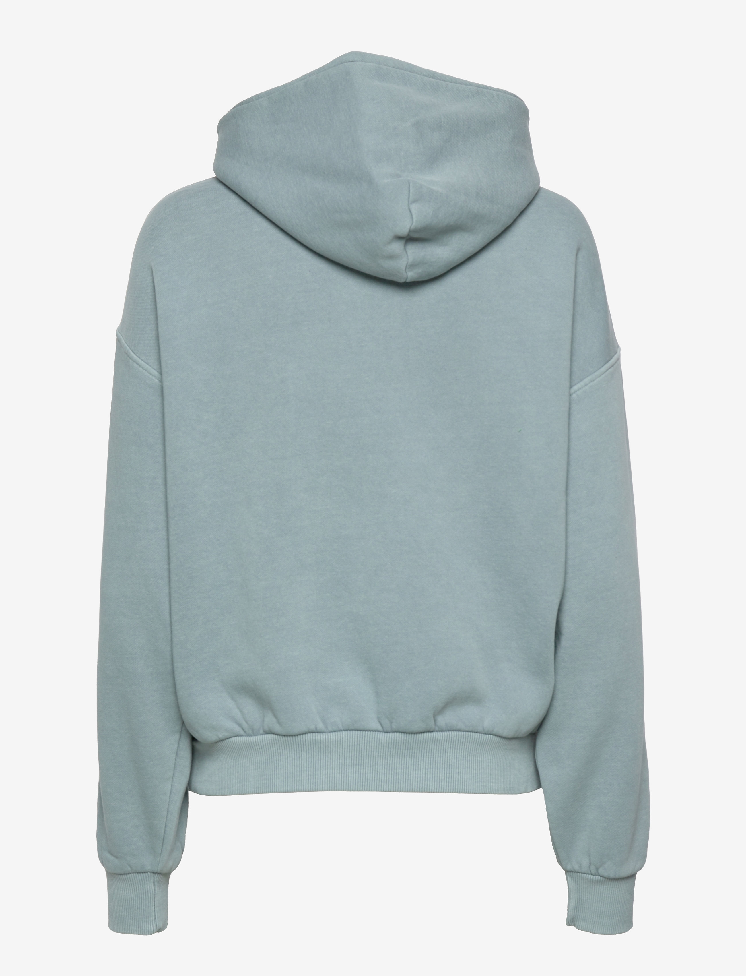 Reebok Classics - CL RBK ND FLEECE HOODIE - midpin - 2