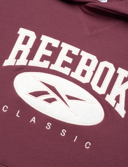 Reebok Classics - CL AE BIG LOGO FT HO - clamar - 2