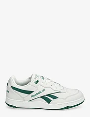 Reebok Classics - BB 4000 II - lave sneakers - purgry/drkgrn/purgry - 1