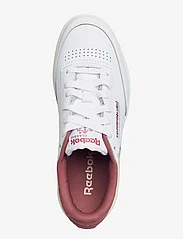 Reebok Classics - CLUB C DOUBLE - low top sneakers - white/white/sedros - 3