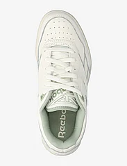 Reebok Classics - BB 4000 II - lave sneakers - chalk/vingre/pugry2 - 3
