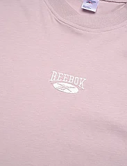 Reebok Classics - CL AE ARCHIVE SM LOG - t-shirts - ashlil - 2