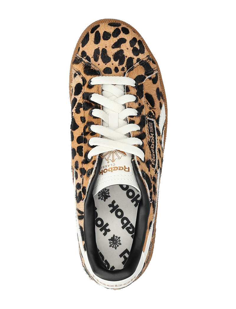 Reebok Classics - CLUB C GROUNDS UK - cheetah/chalk - 3