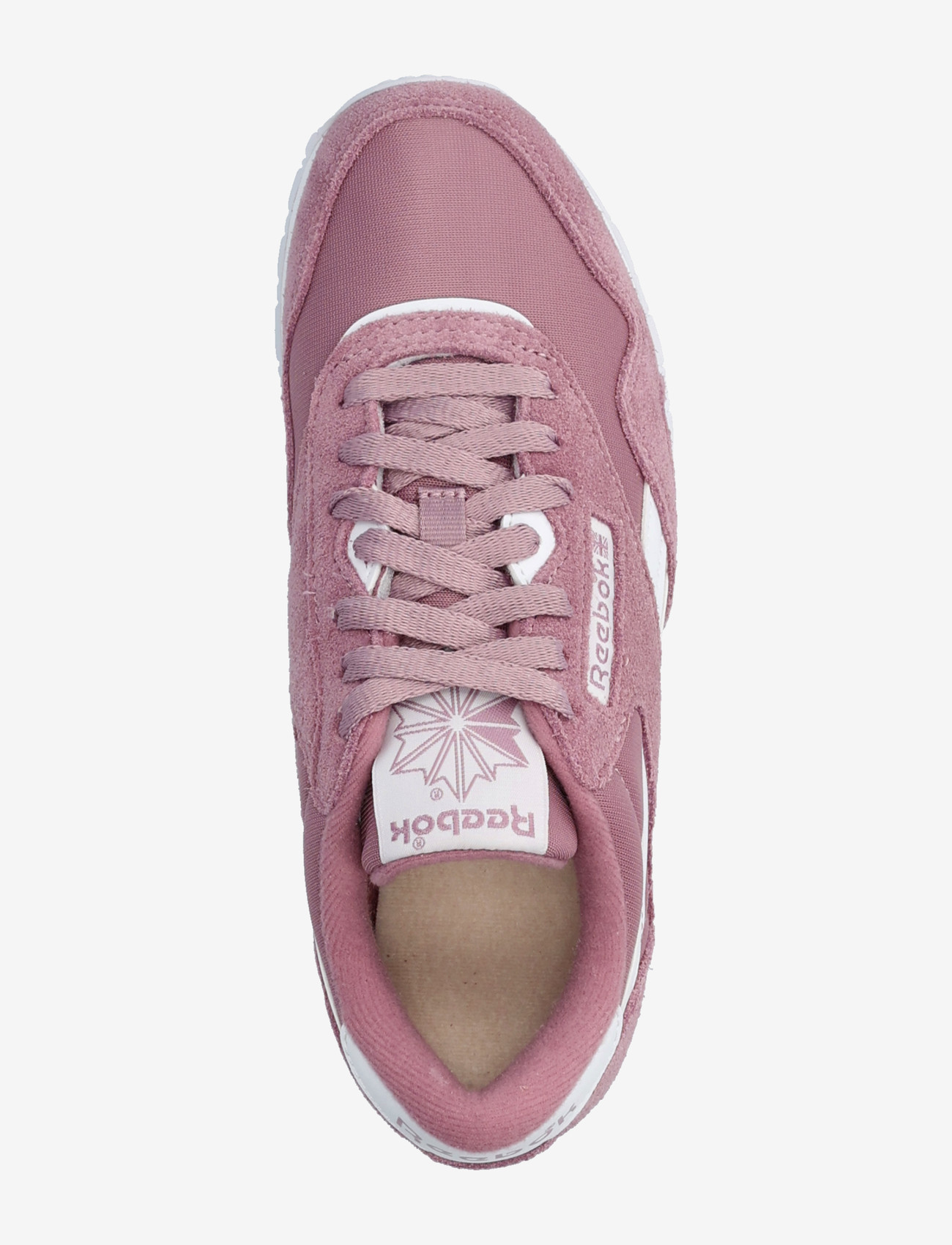 Reebok Classics - CLASSIC NYLON - matalavartiset tennarit - berrychill/berrychil - 3