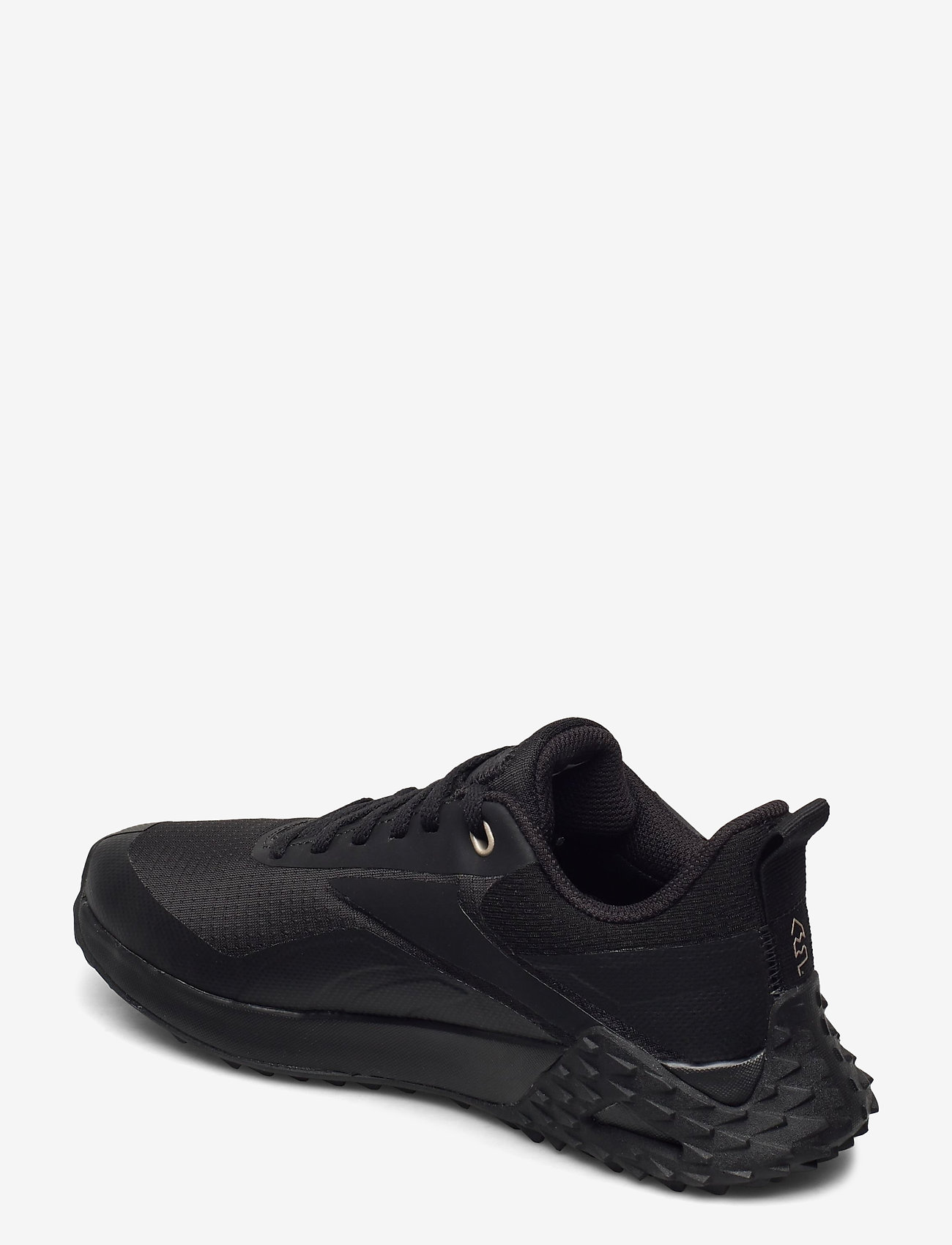 Reebok Performance - Trail Cruiser GTX - black/black/moodus - 2