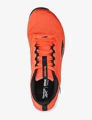 Reebok Performance - NANOFLEX TR 2 - training shoes - red/black/wht - 3
