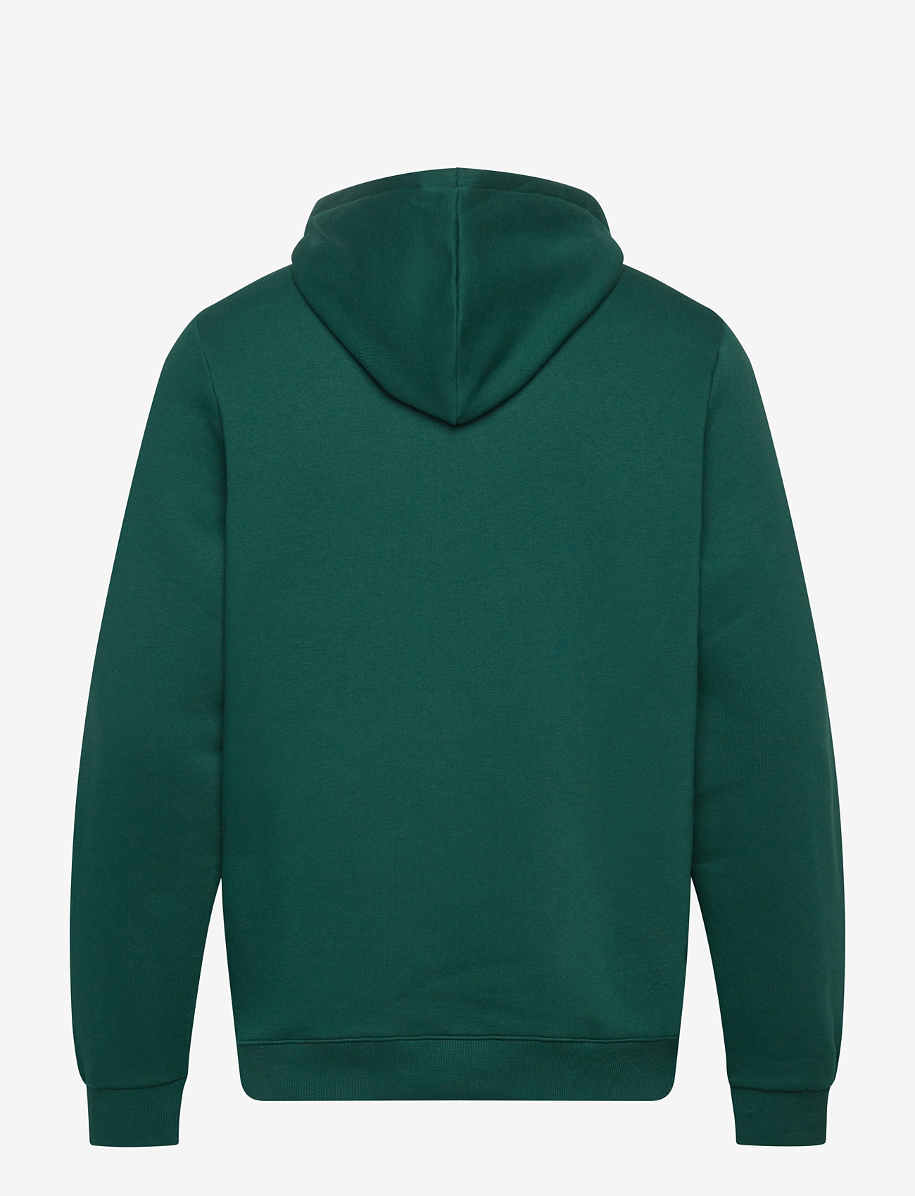 Reebok Performance - REEBOK IDENTITY SMALL LOGO FLEECE H - bluzy i swetry - collegiate green - 2