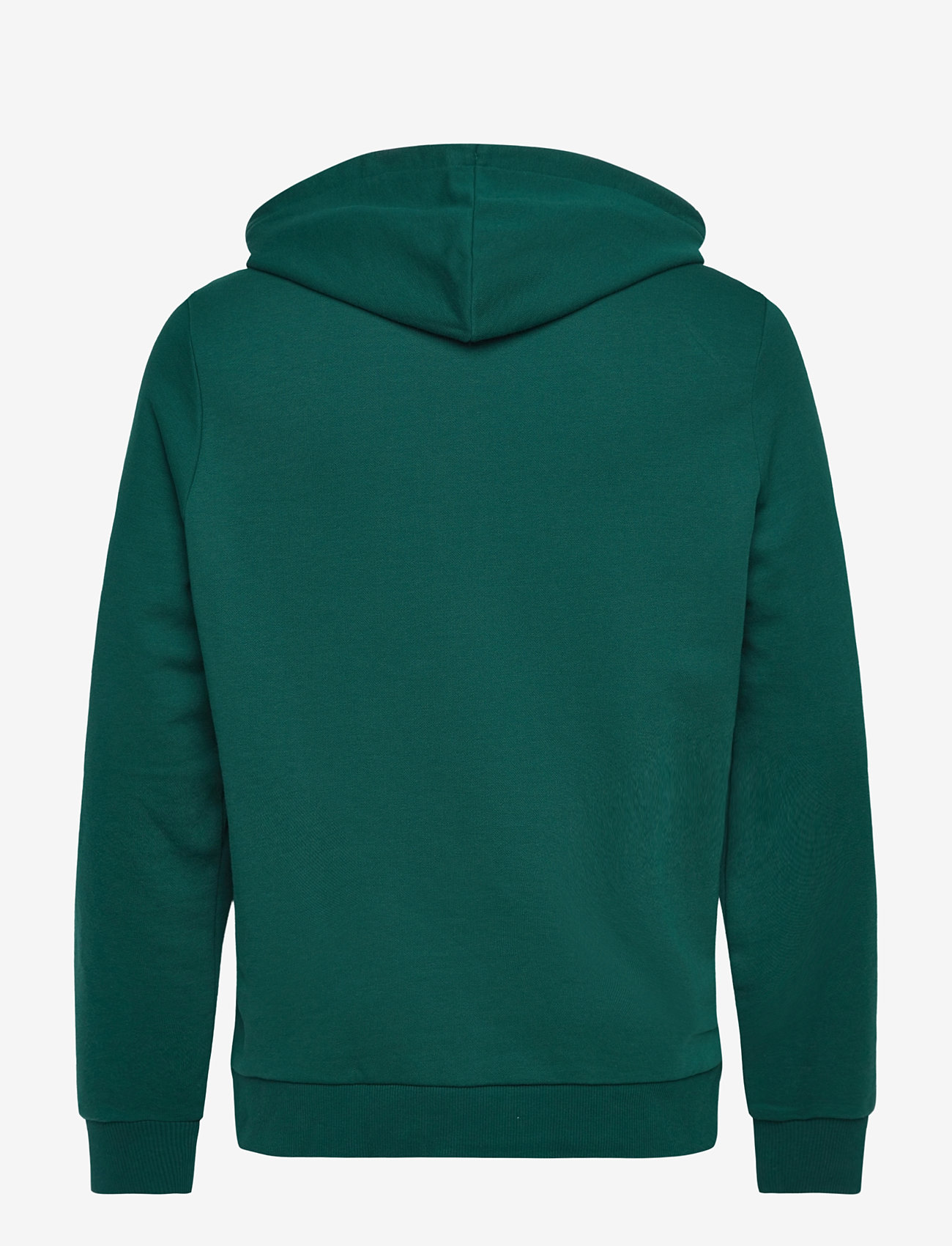 Reebok Performance - REEBOK IDENTITY SMALL LOGO FT HOODI - tops - collegiate green - 2