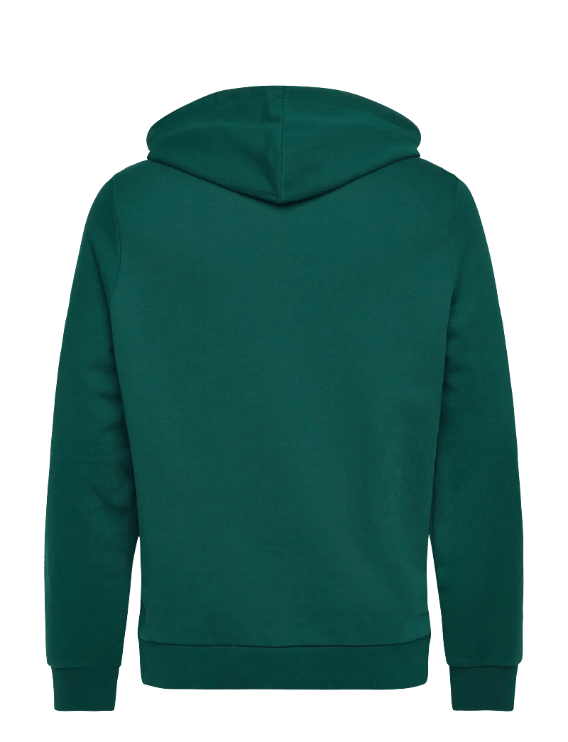 Reebok Performance - REEBOK IDENTITY SMALL LOGO FT HOODI - oberteile - collegiate green - 2