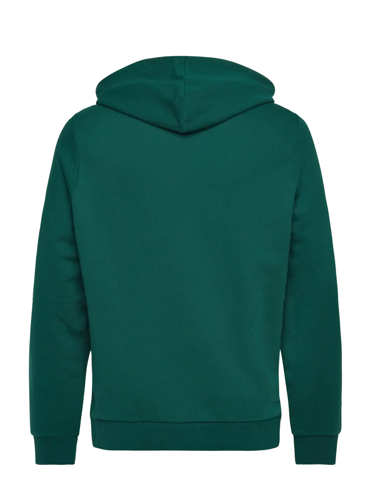 Reebok Performance - REEBOK IDENTITY SMALL LOGO FT HOODI - collegiate green - 2