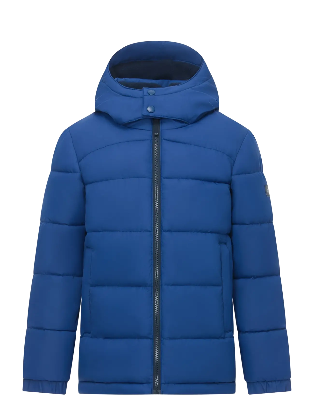 Regatta Rover - Daunen- und Steppjacken - AVIATOR BLUE(NAVY) - 0PZ / navy
