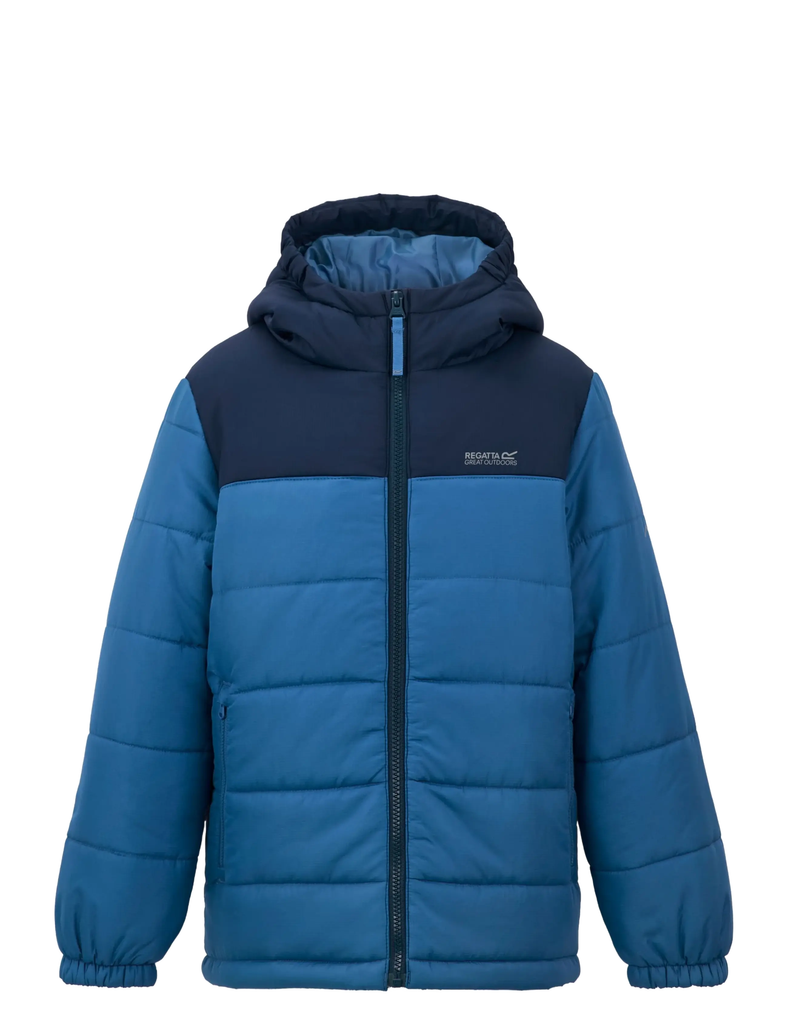 Regatta Lofthouse - Daunen- und Steppjacken - AVIATOR BLUE/OLYMPIAN BLUE - 0PG / blue