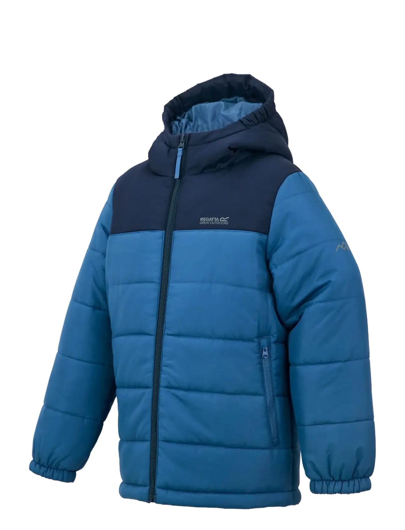 Regatta - Lofthouse - winterjacke - aviator blue/olympian blue - 0pg - 3
