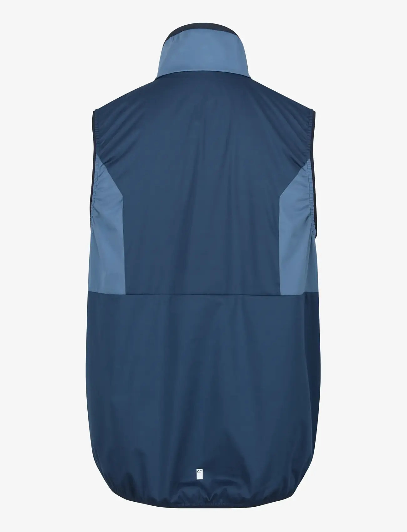 Regatta - Lankin V / Lankin V - vester - blue wing/stellar - 1