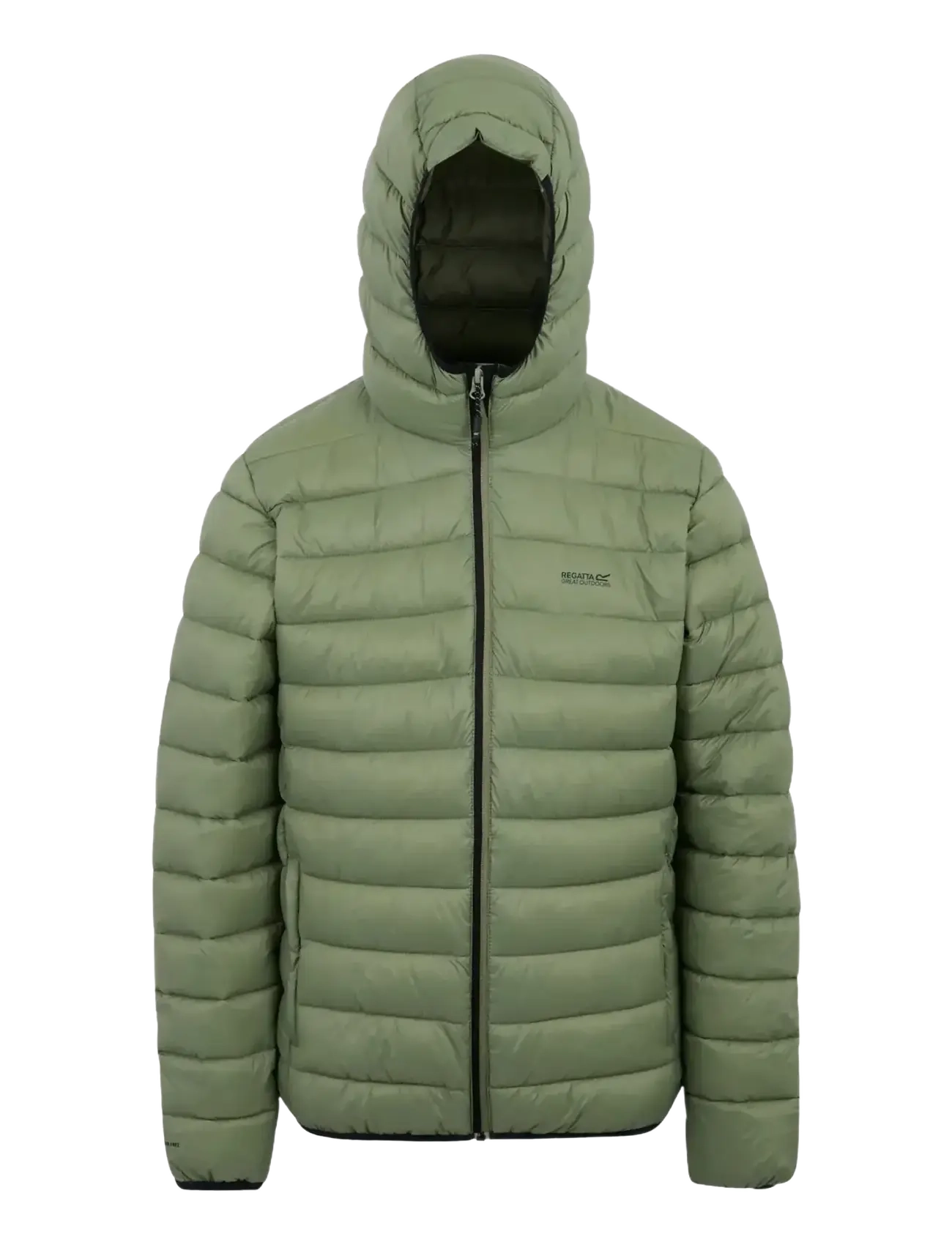 Regatta Hooded Marizion - Overtøj - OIL GREEN / green