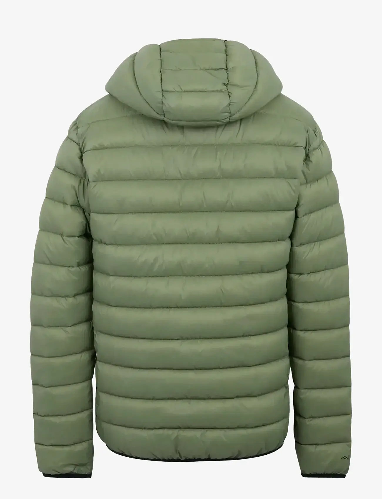 Regatta - Hooded Marizion - down jackets - oil green - 2
