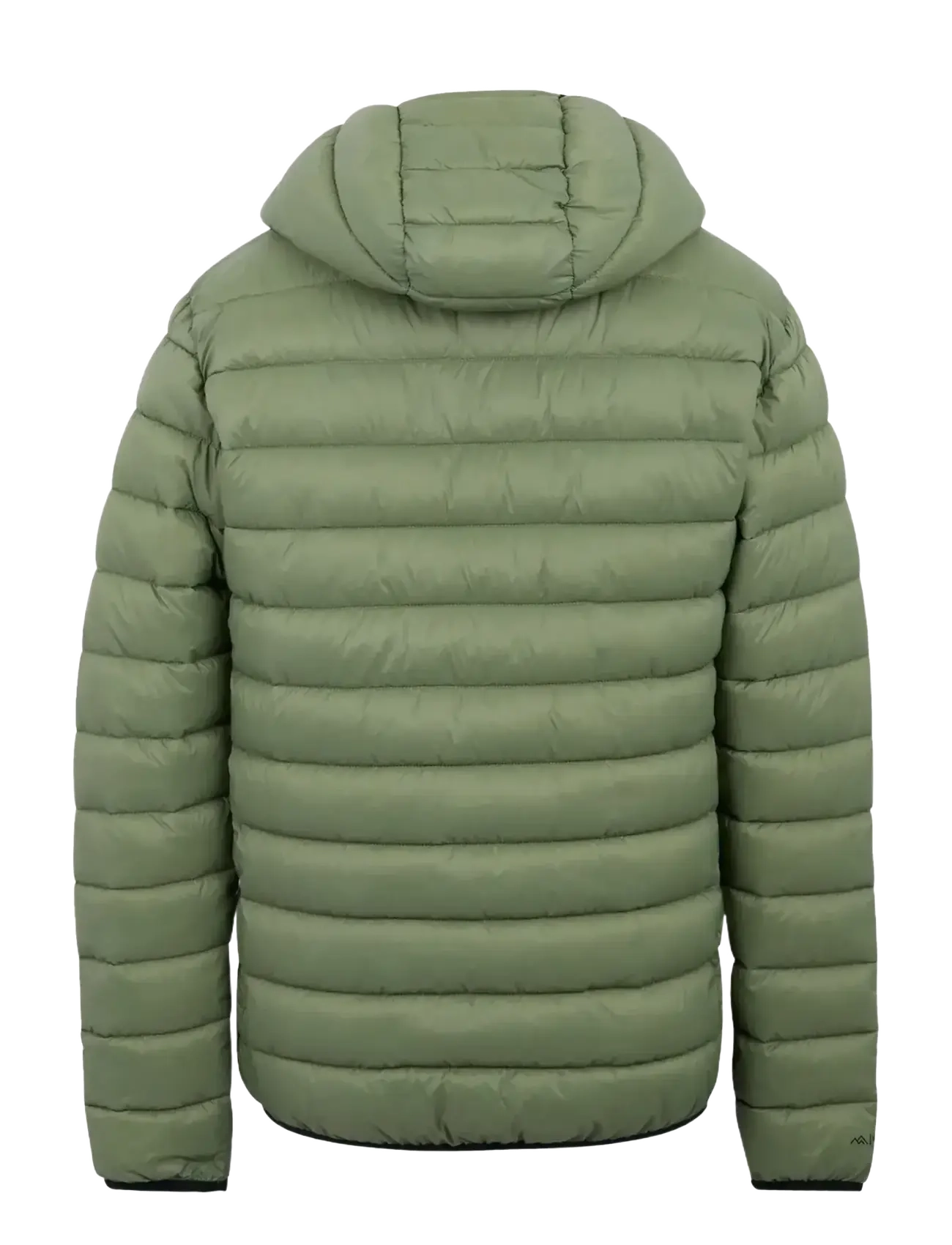 Regatta - Hooded Marizion - doudounes - oil green - 2